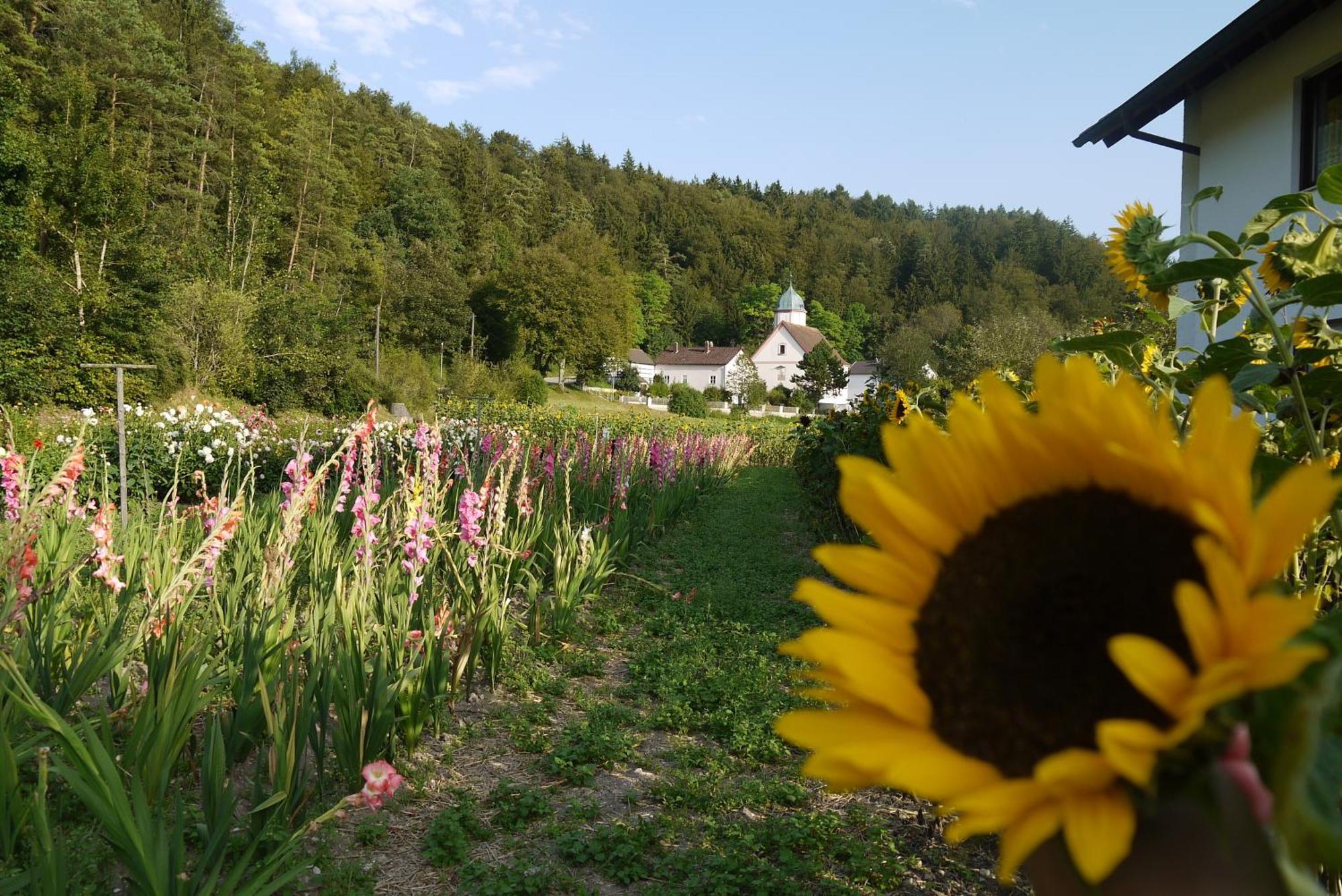 Hotel & Gasthof Zur Linde Kipfenberg Exteriör bild